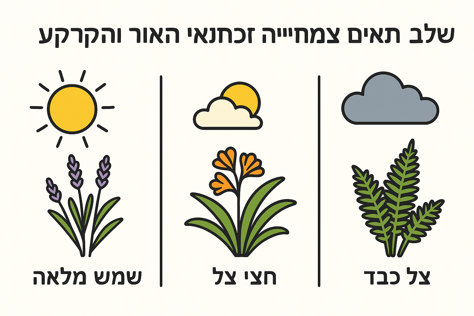 שלב 3. התאימו צמחייה לתנאי האור והקרקע