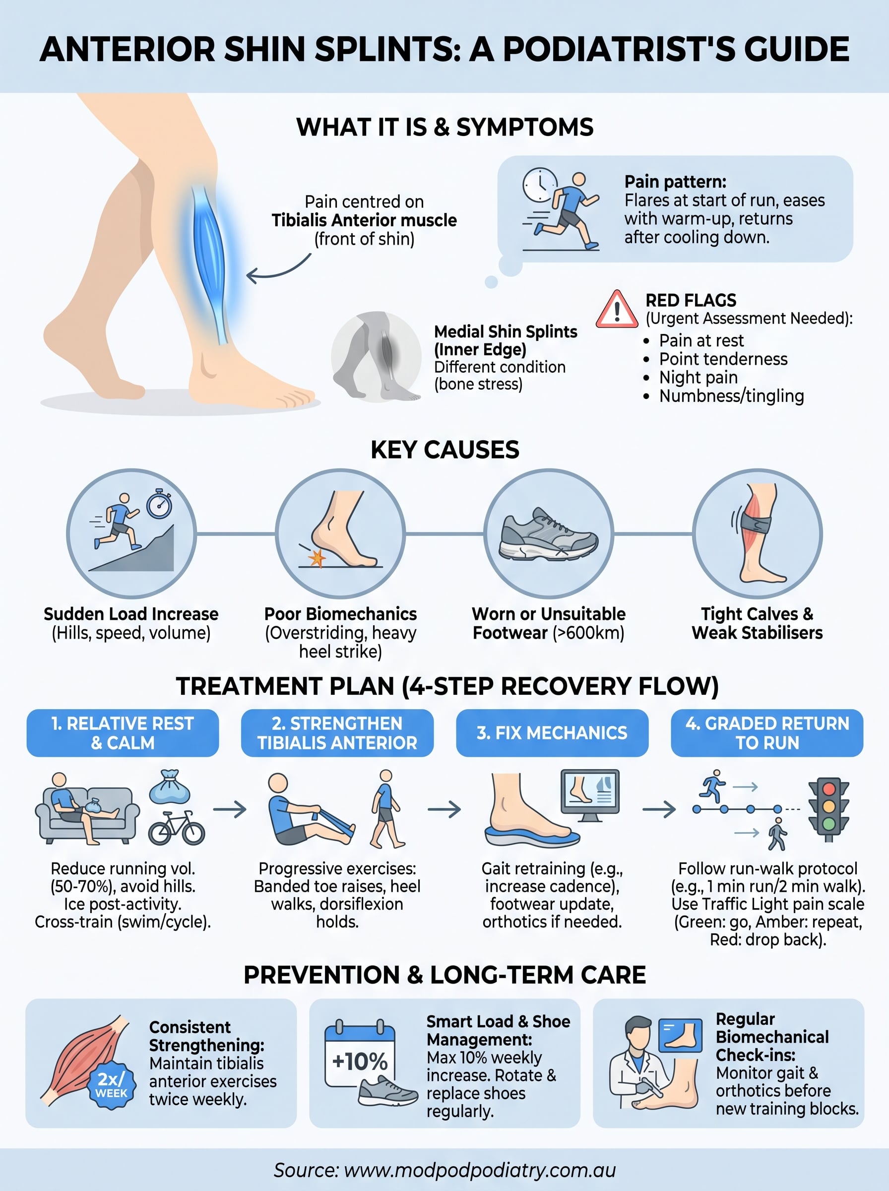 shin splints anterior infographic