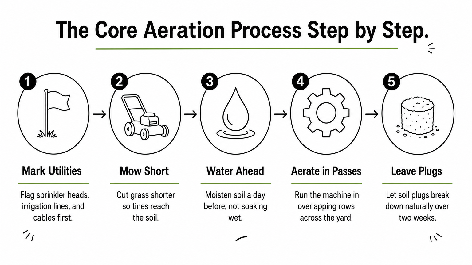 Five-step infographic showing the core aeration process from marking utilities to leaving soil plugs to break down.