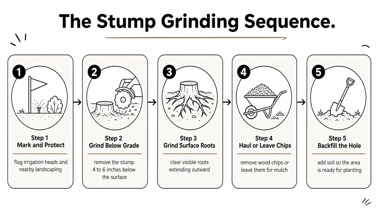 Five-step process diagram showing how crews grind, clear, and backfill a tree stump.