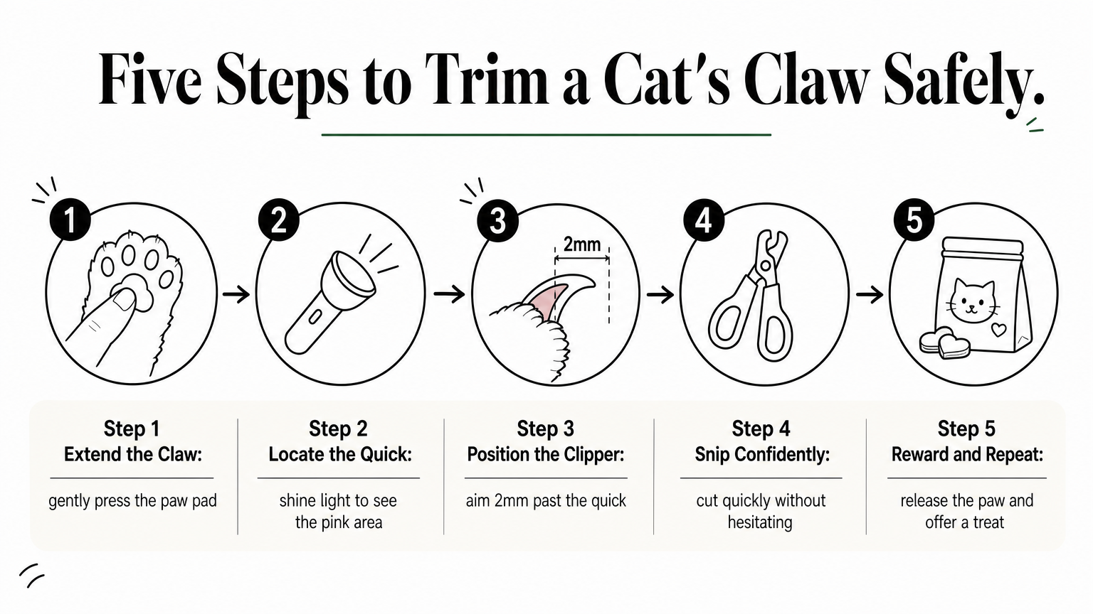 Five-step process diagram showing how to safely extend, locate, and trim a cat's claw.