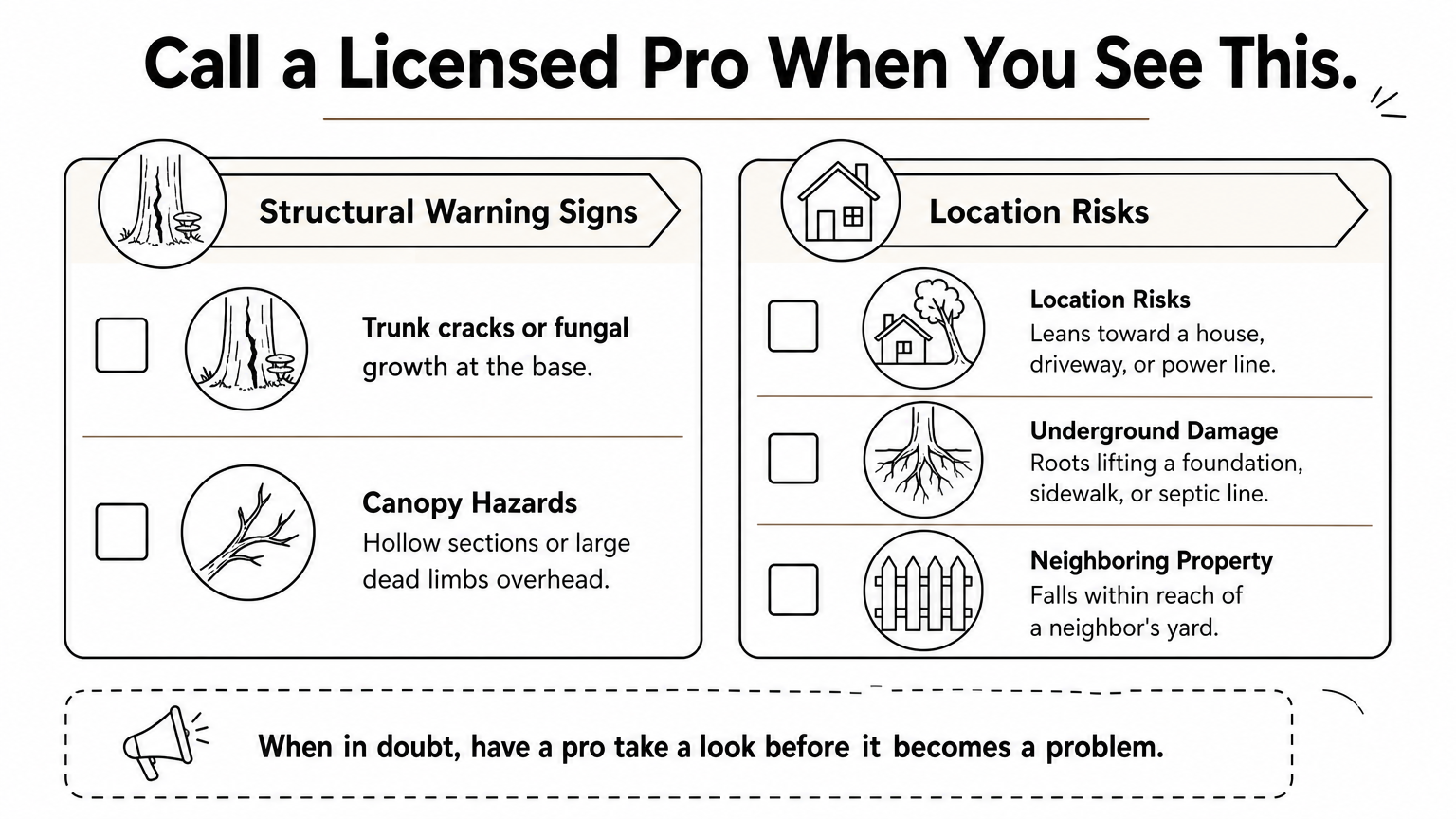 Checklist infographic listing warning signs that mean a tree needs a certified arborist instead of a DIY chainsaw.
