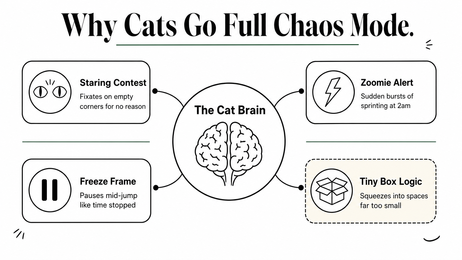 Hub diagram showing four odd cat behaviors branching from a central cat brain icon.