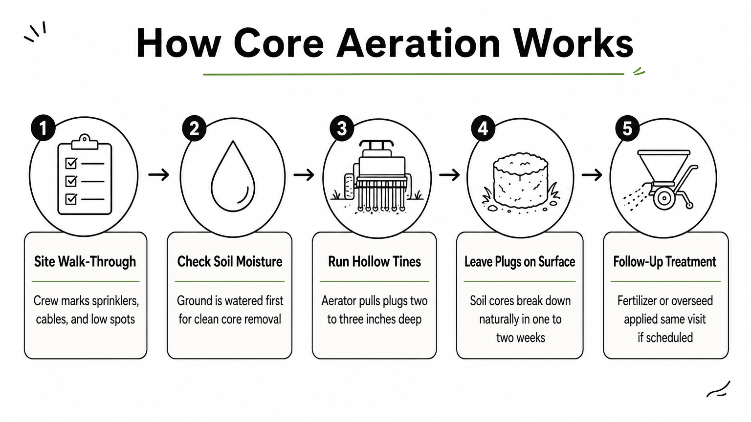 Infographic showing the five steps of a professional core aeration service from walk-through to follow-up treatment.