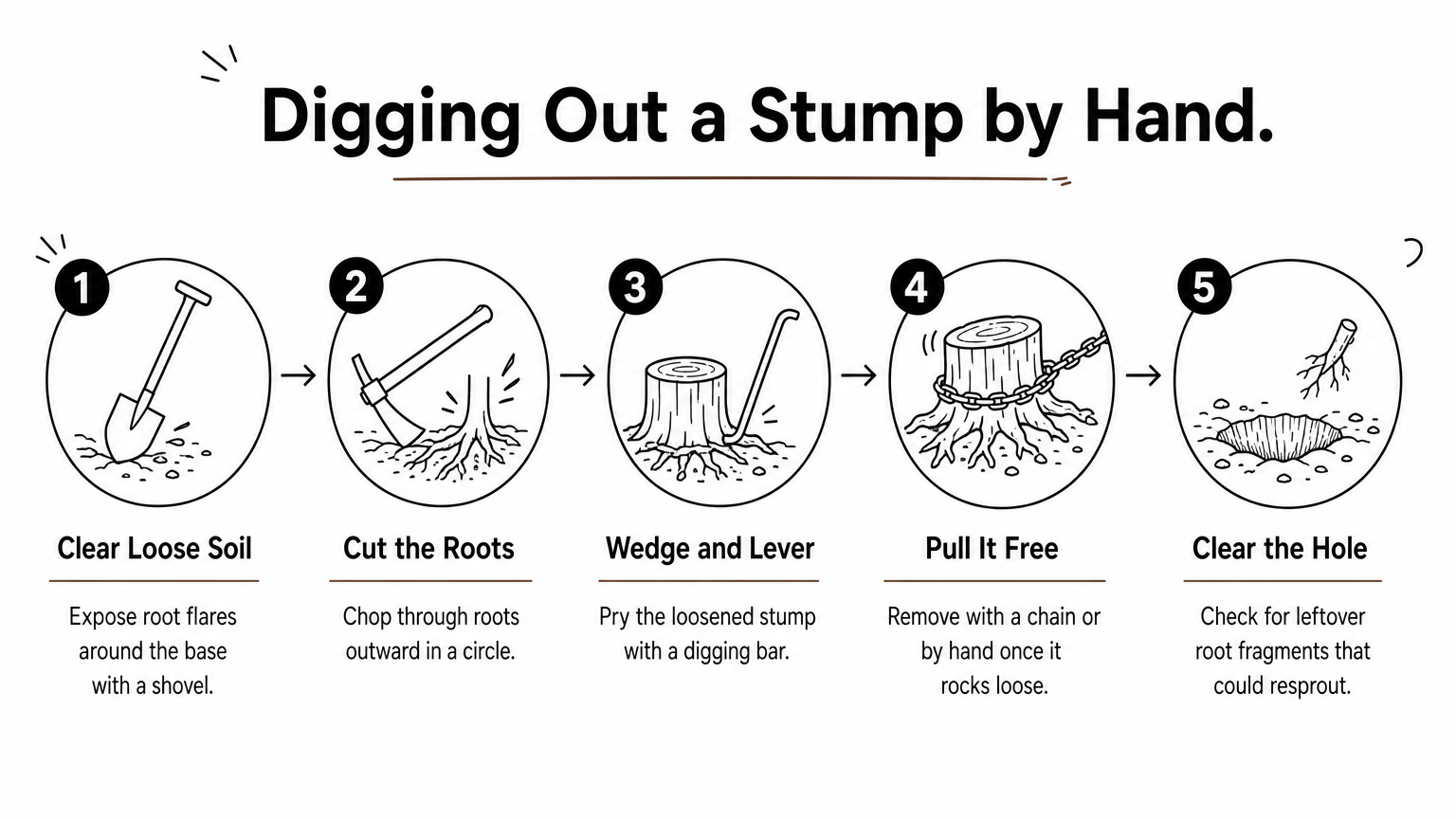 A five-step process diagram showing how to dig out a tree stump by hand.