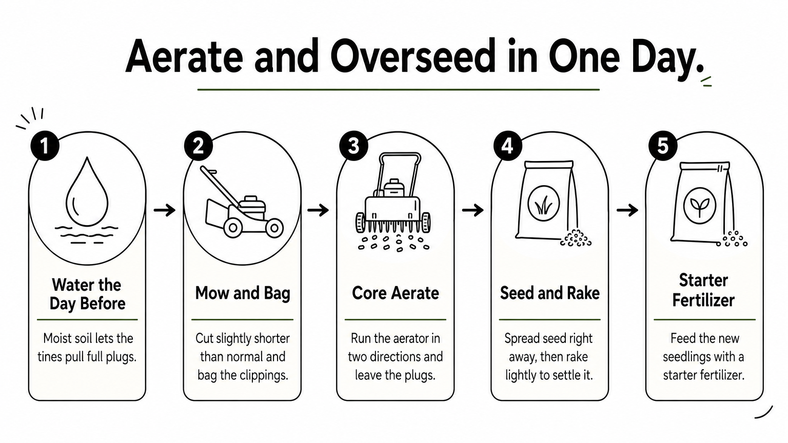 Five-step process infographic showing how to aerate, overseed, and fertilize a lawn in one day.