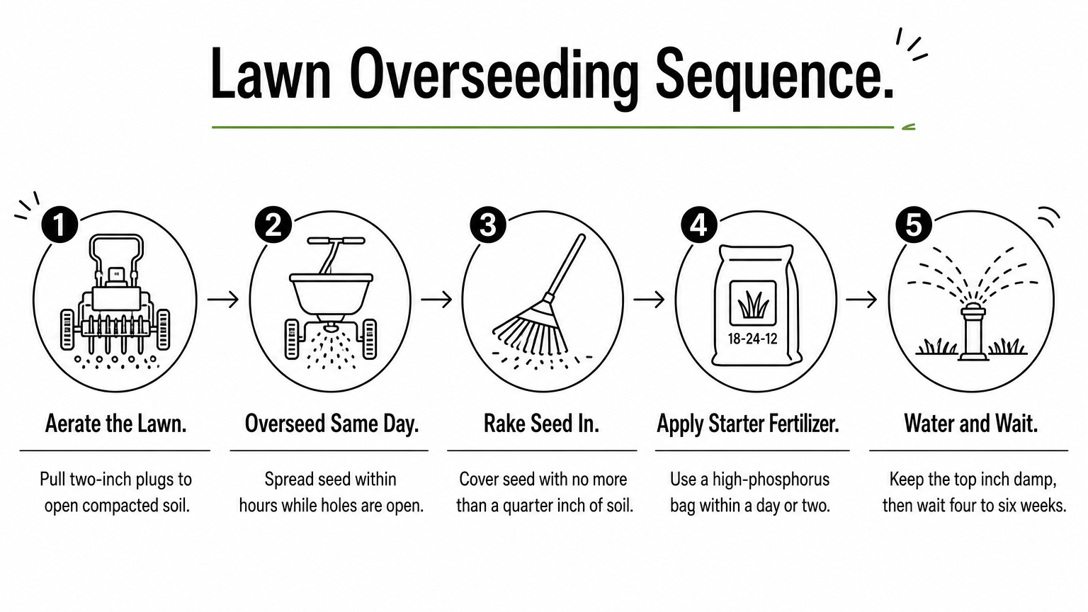 Five-step process graphic showing aerating, overseeding, raking, fertilizing, and watering in order.