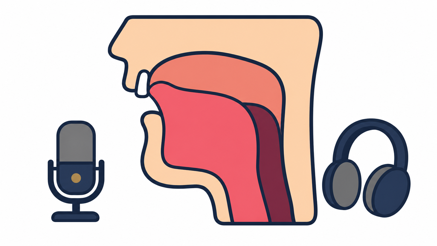 Cutaway of a mouth with the tongue tip touching the ridge behind the upper teeth.