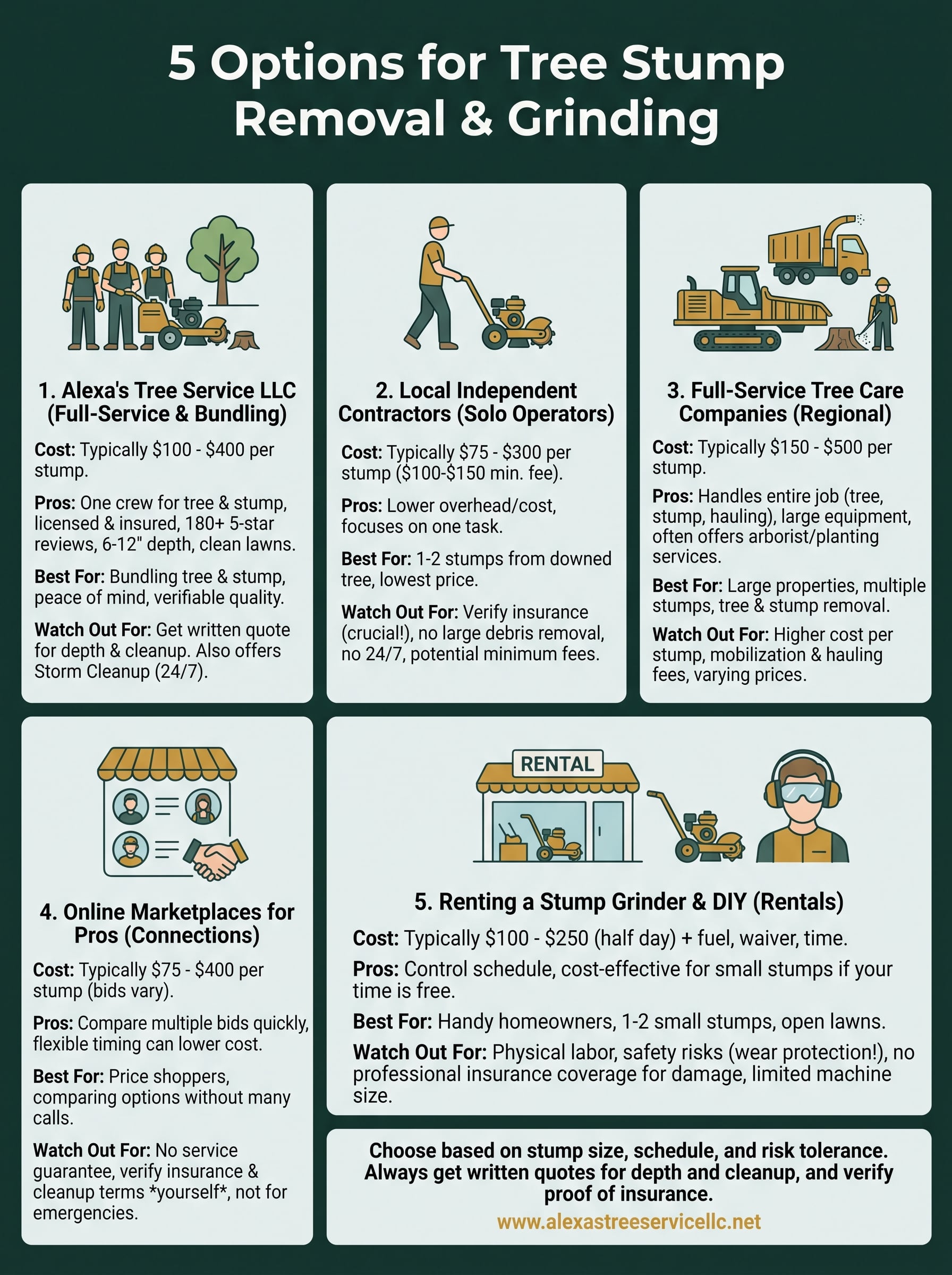 tree stump removal service infographic