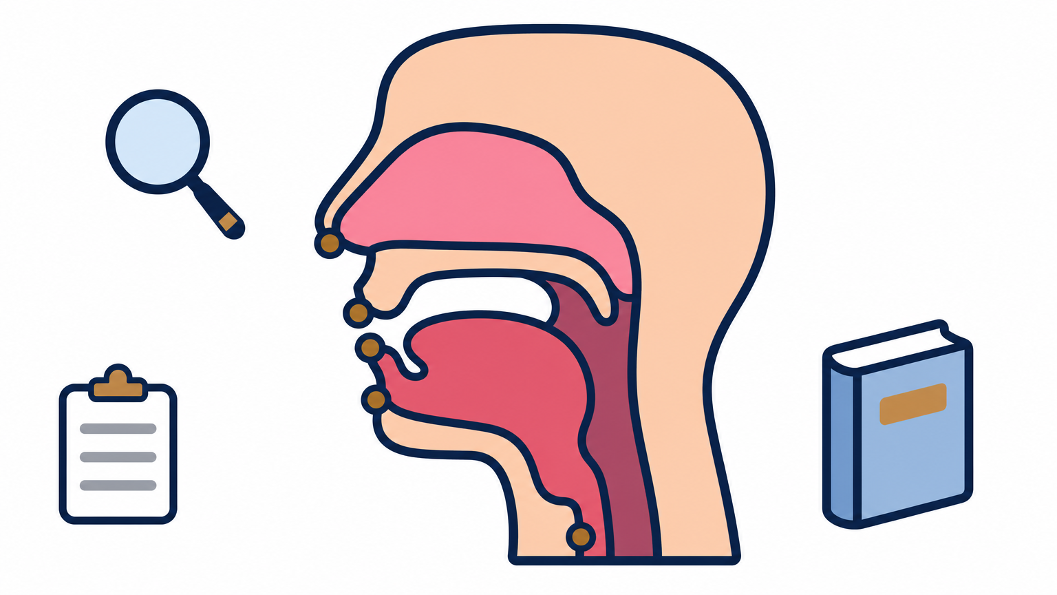 Side cross-section of a head with five dots marking where Arabic letters are articulated.