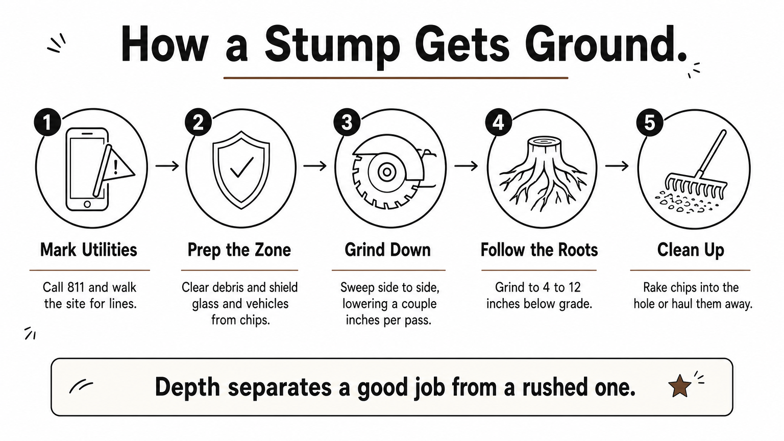 Five-step process diagram showing how professionals grind a stump, from marking utilities to cleanup.