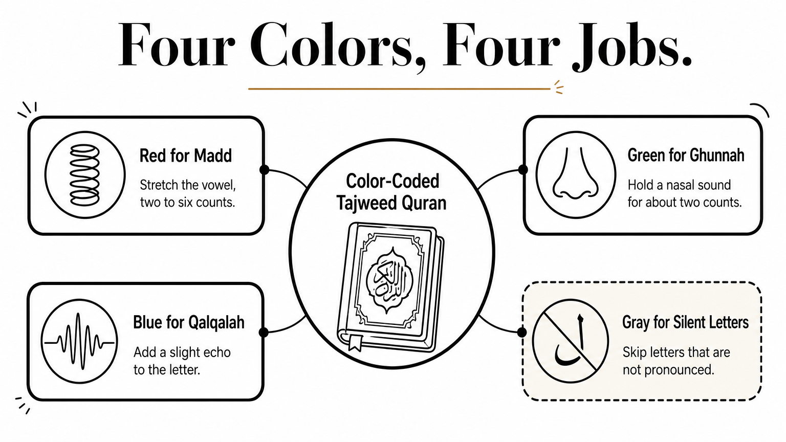 Hub diagram linking a color-coded Quran to red, green, blue, and gray Tajweed rules.