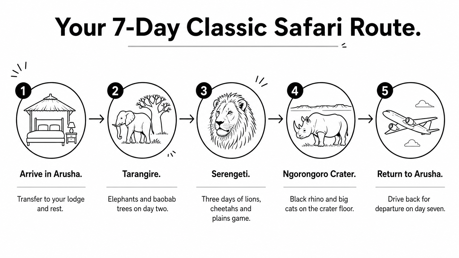 Five-step infographic showing the 7-day Tanzania classic safari route from Arusha through four parks and back.