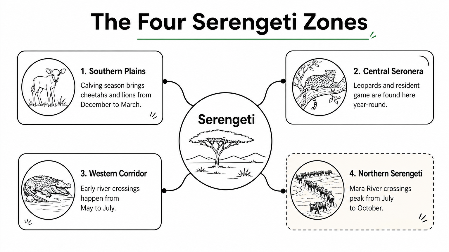 Hub diagram showing four Serengeti zones branching from a central Serengeti label, each with its best season.