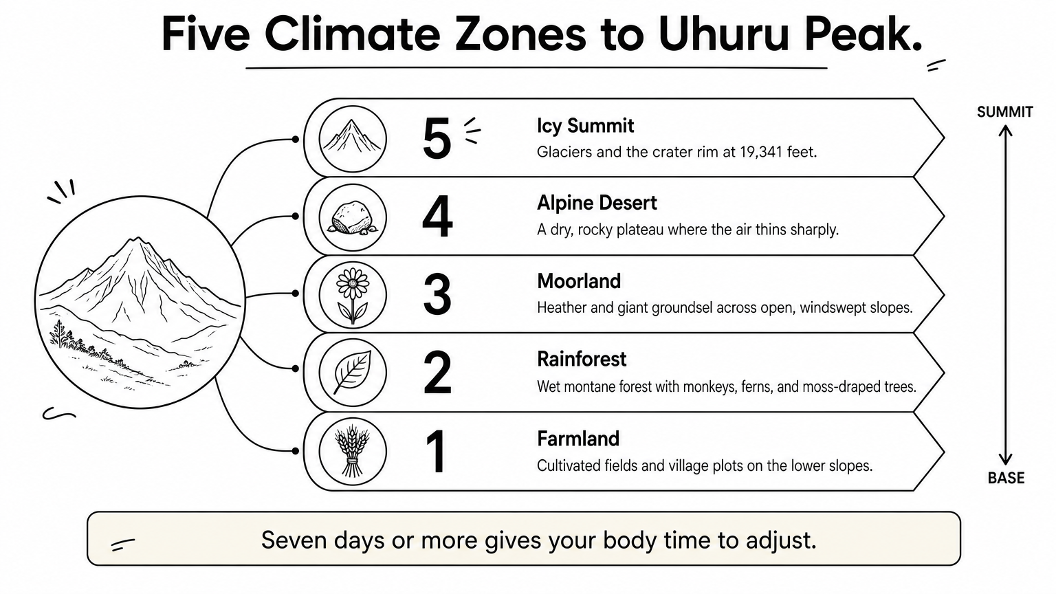 Ladder infographic showing five climate zones rising from farmland to rainforest, moorland, alpine desert, and an icy summit.