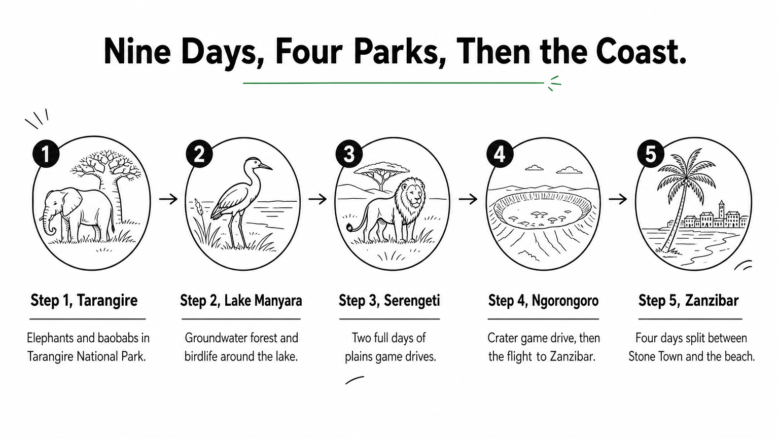 A five-step route graphic running from Tarangire through Lake Manyara, the Serengeti, and Ngorongoro to Zanzibar.