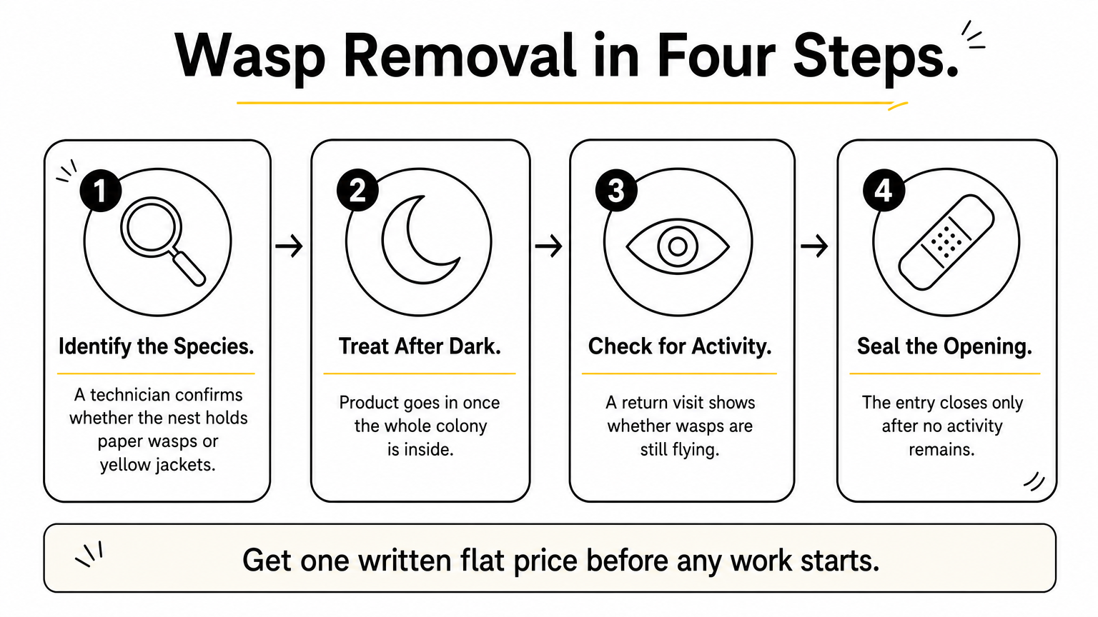 A four-step process graphic showing how a technician identifies, treats, checks, and seals a wasp nest.