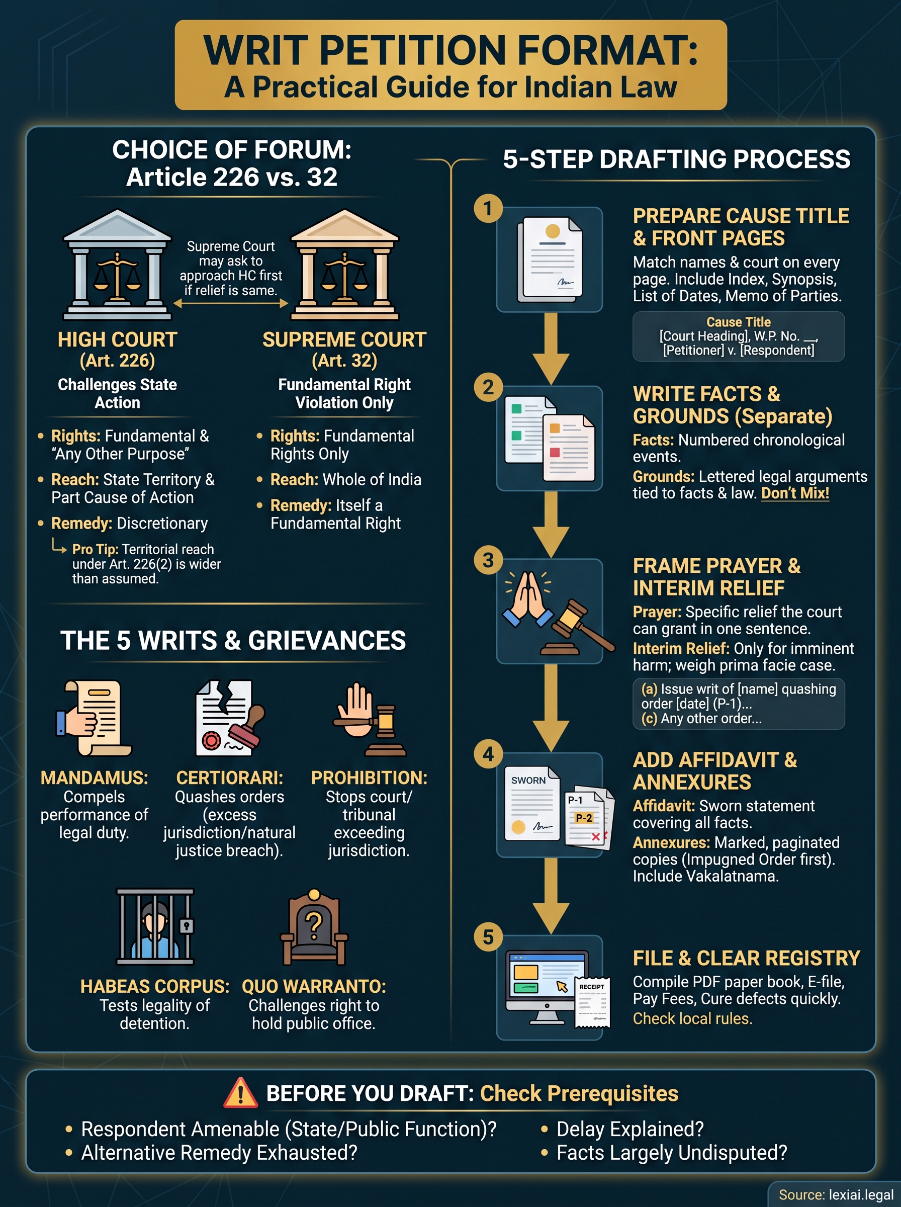 writ petition format infographic
