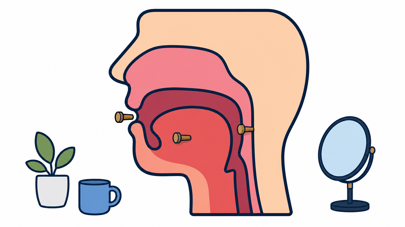 A side-view head with the mouth open, with three pegs marking the throat, tongue tip, and lips.