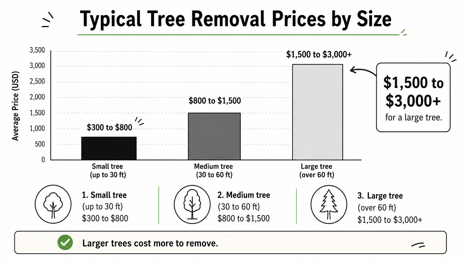 Bar chart showing typical tree removal prices rising from small trees at $300 to $800 to large trees at $1,500 to $3,000 or more.