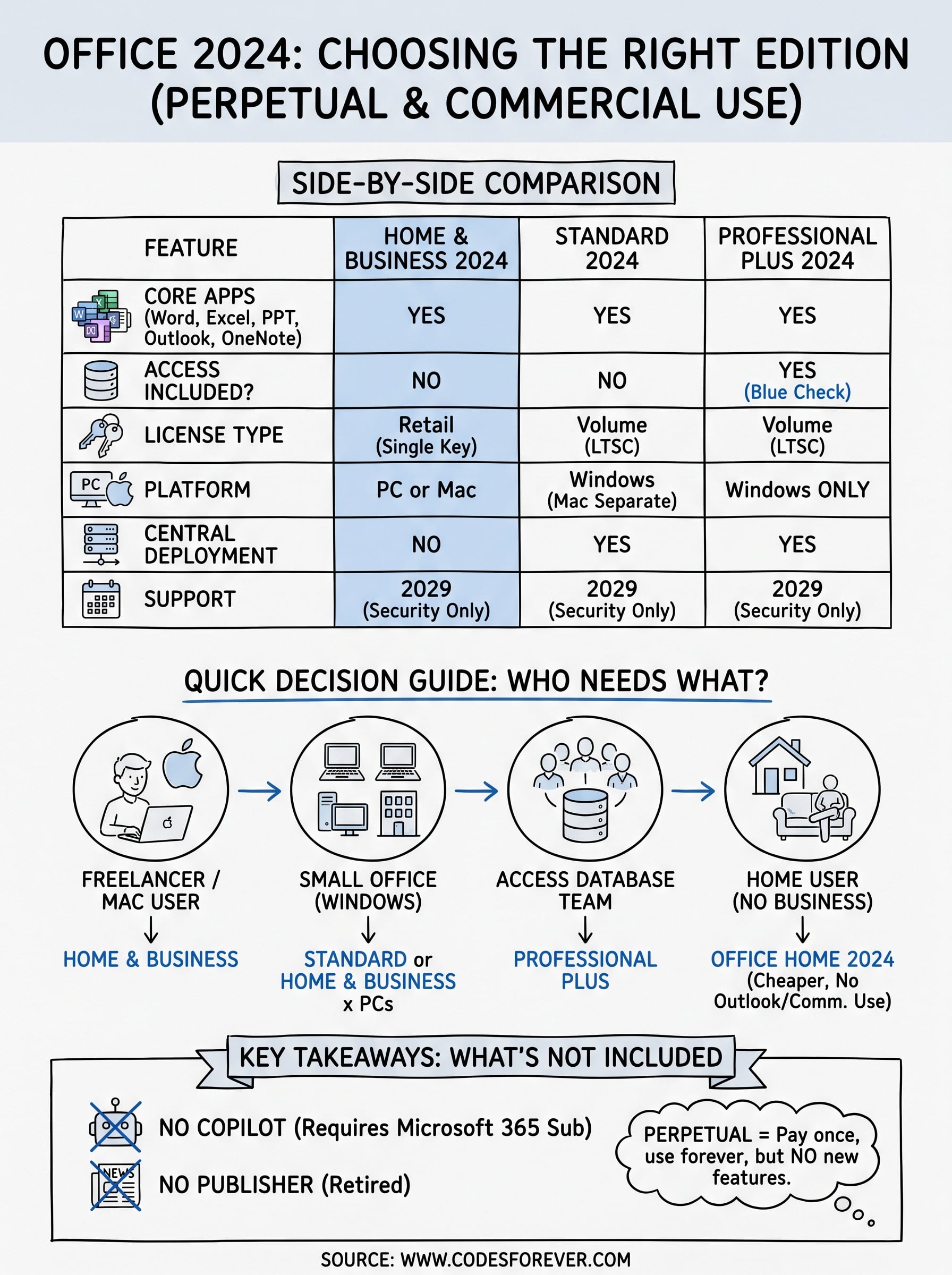 microsoft office 2024 professional plus vs home and business infographic
