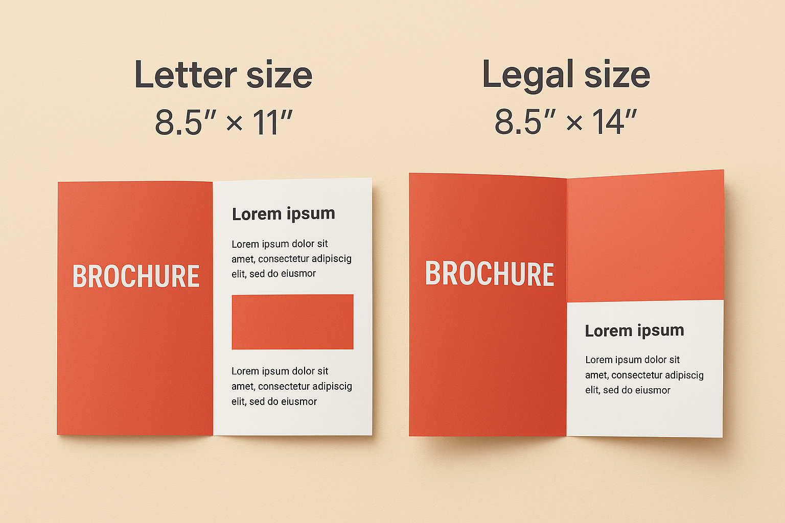 Common bi fold brochure sizes
