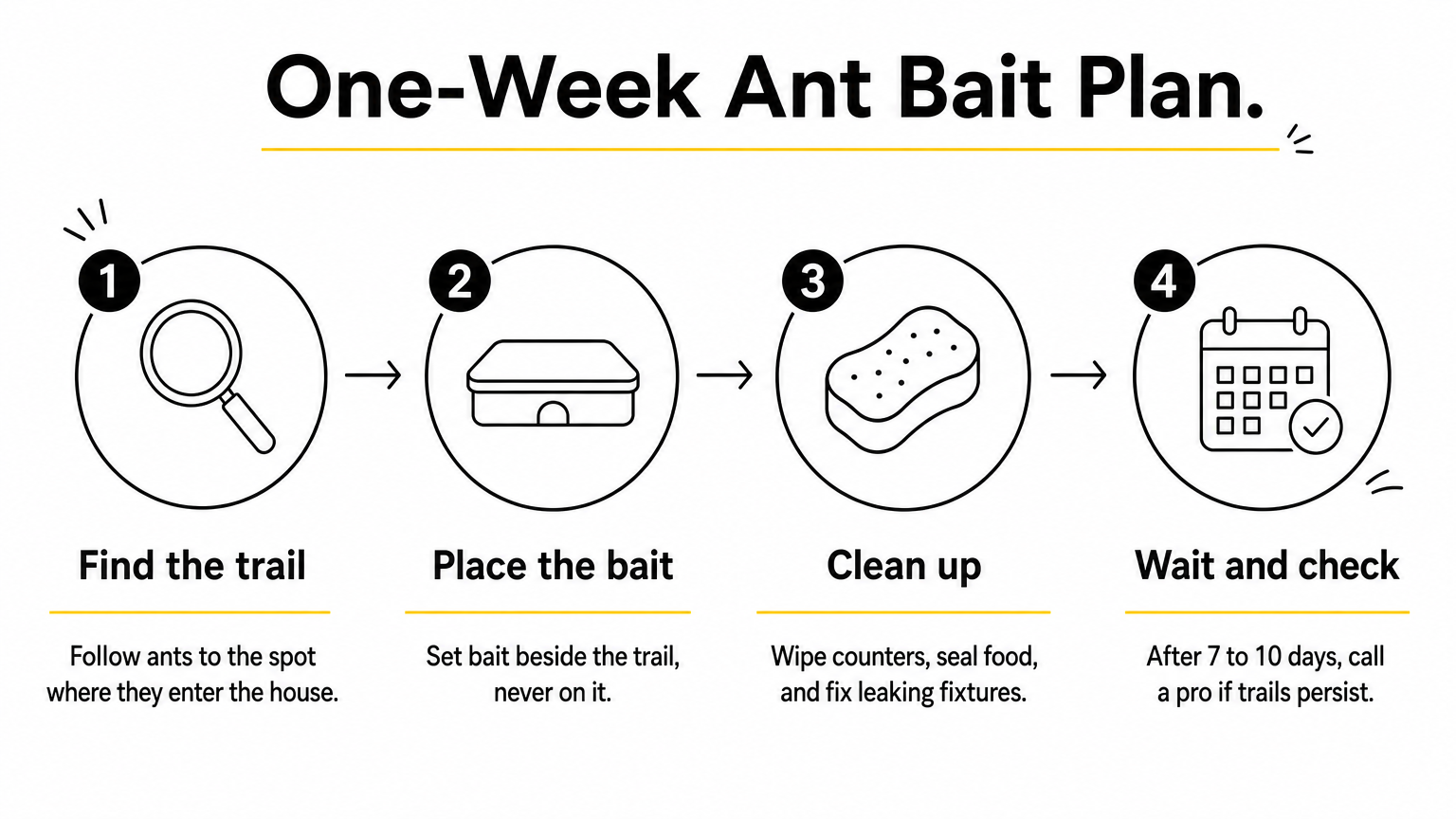 A four-step process diagram showing how to find an ant trail, place bait, clean up, and check results.