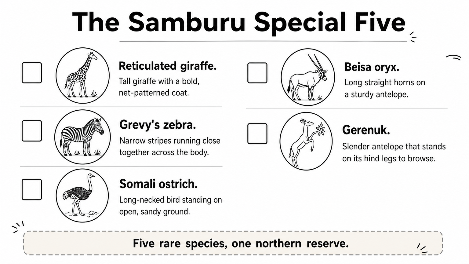 A two-column checklist of the five Samburu species, each with a small animal icon and one line.