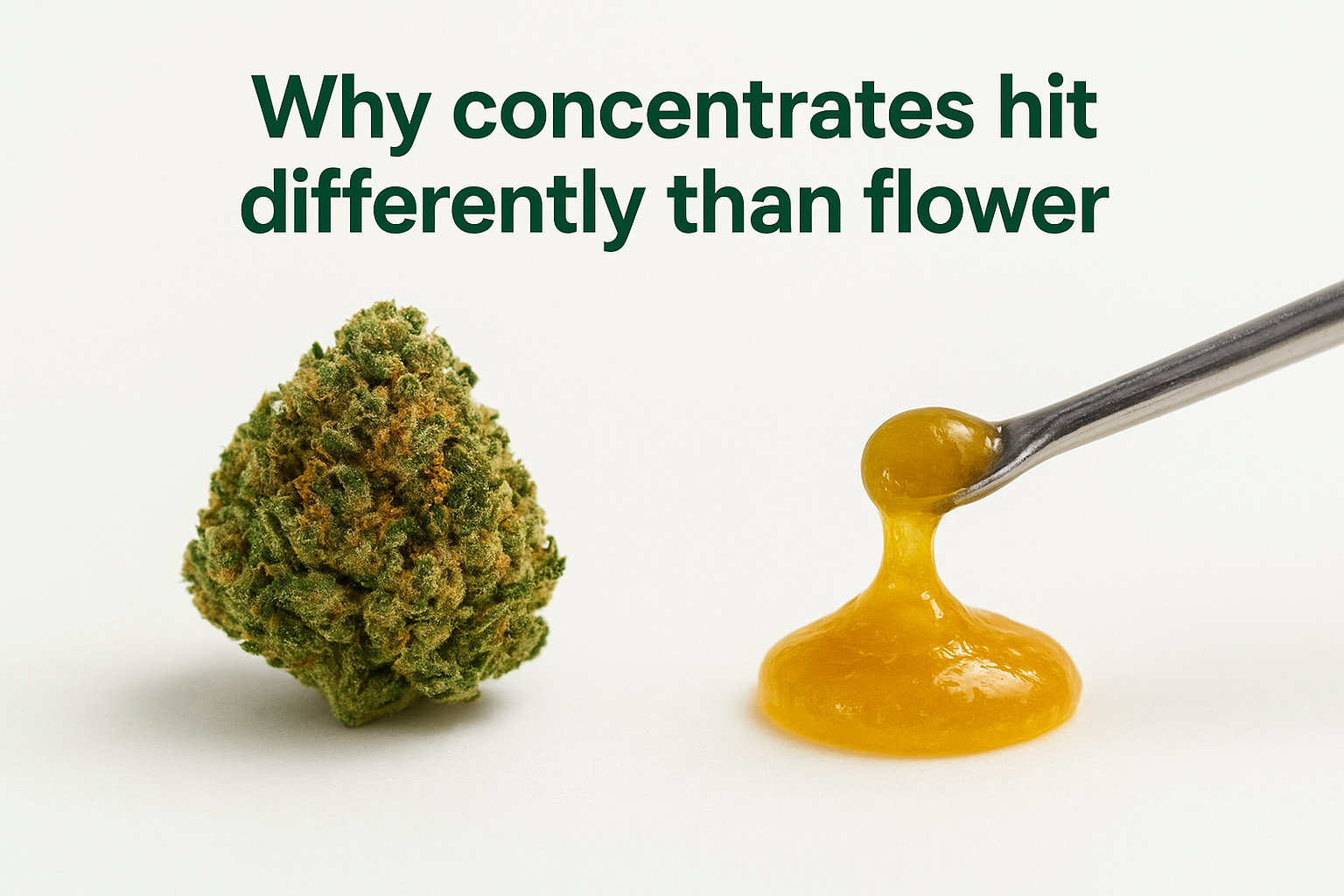 Why concentrates hit differently than flower