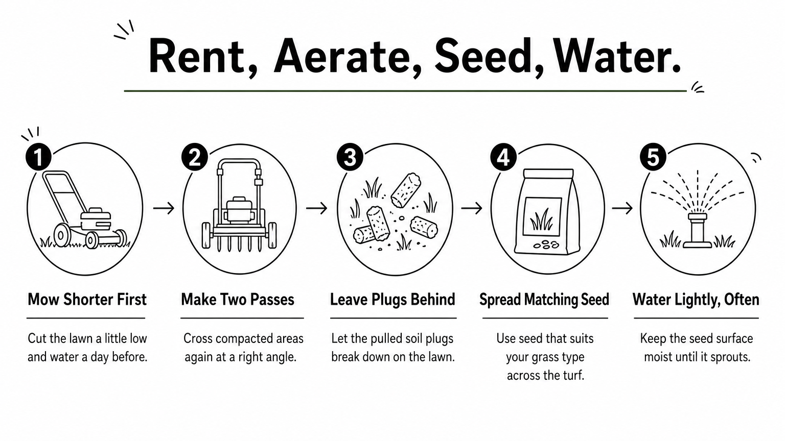 Five numbered steps for renting an aerator, aerating, seeding, and watering a lawn.