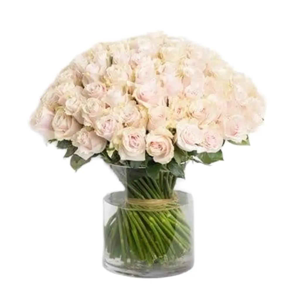 100 Pink Roses