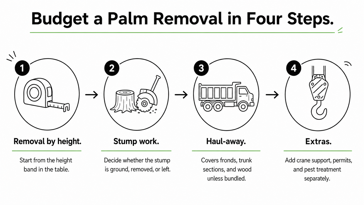 Four-step process for budgeting a palm tree removal, from removal and stump work to haul-away and extras.