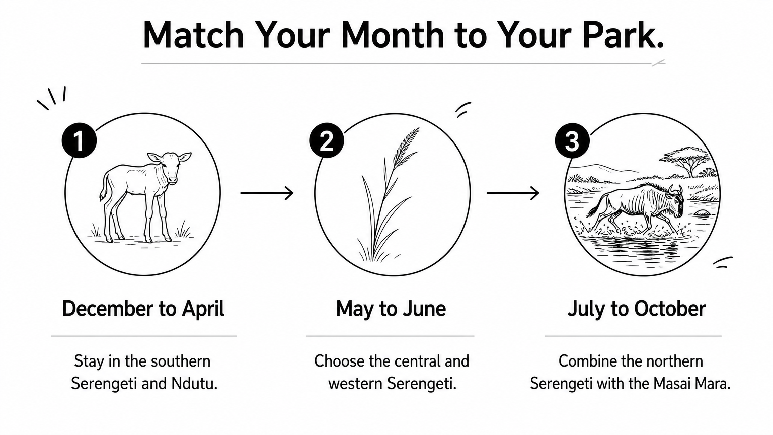 A three-step process showing which Serengeti or Mara area to visit in each part of the year.