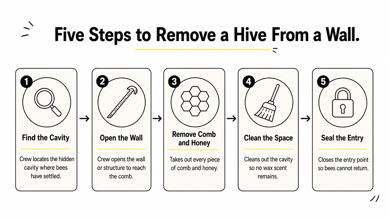 Five-step process diagram for removing a bee hive from inside a wall.