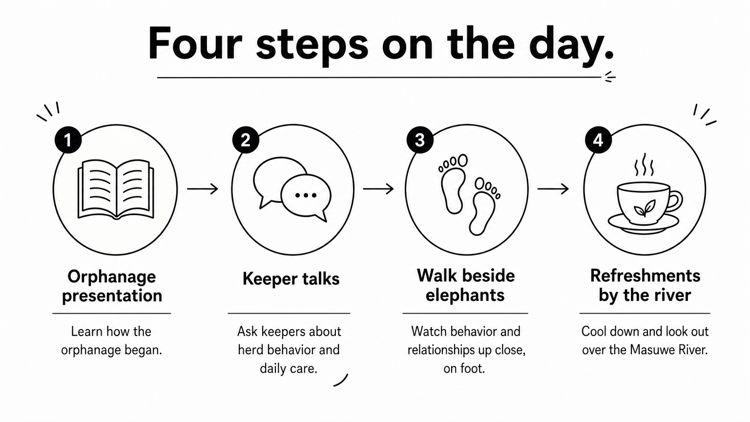 A four-step process diagram showing the elephant encounter, from orphanage presentation through keeper talks and walking to refreshments.