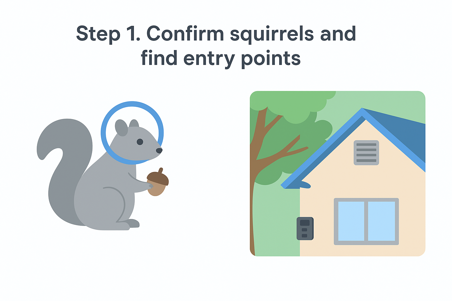Step 1. Confirm squirrels and find entry points