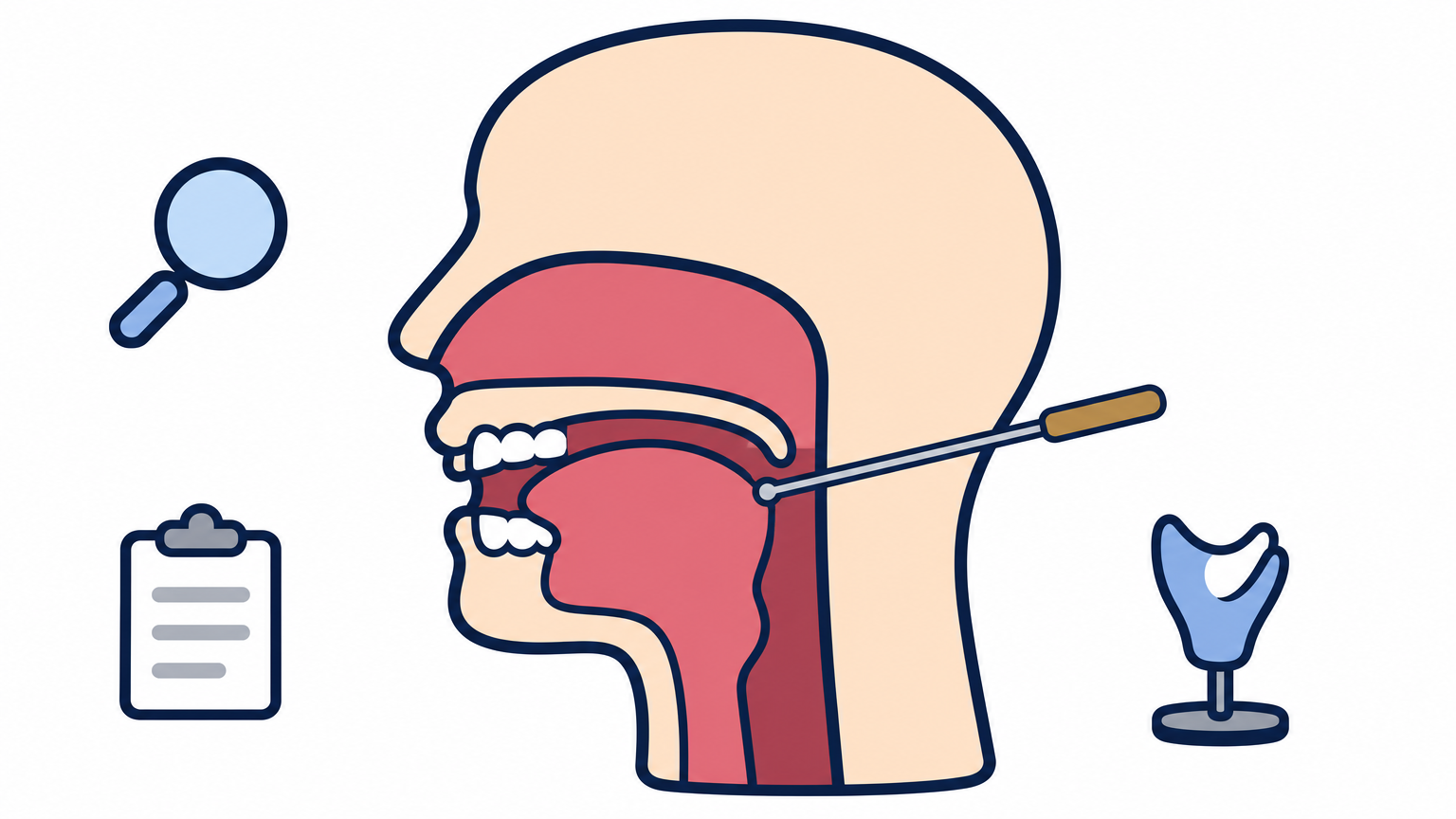 A side-profile cut-away of a head showing the throat, tongue, teeth and lips, with a pointer at the tongue.