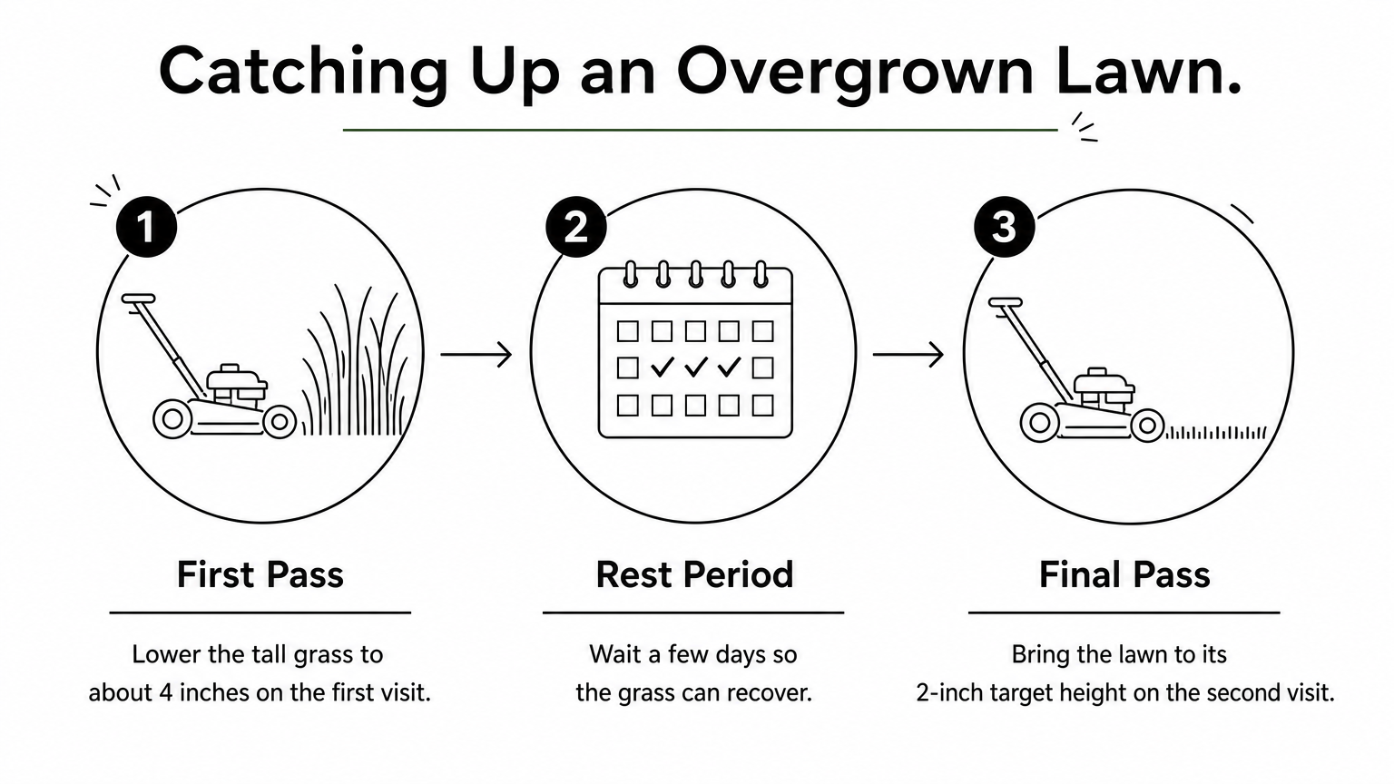 A three-step process showing an overgrown lawn cut to 4 inches, rested for a few days, then cut to its 2-inch target.