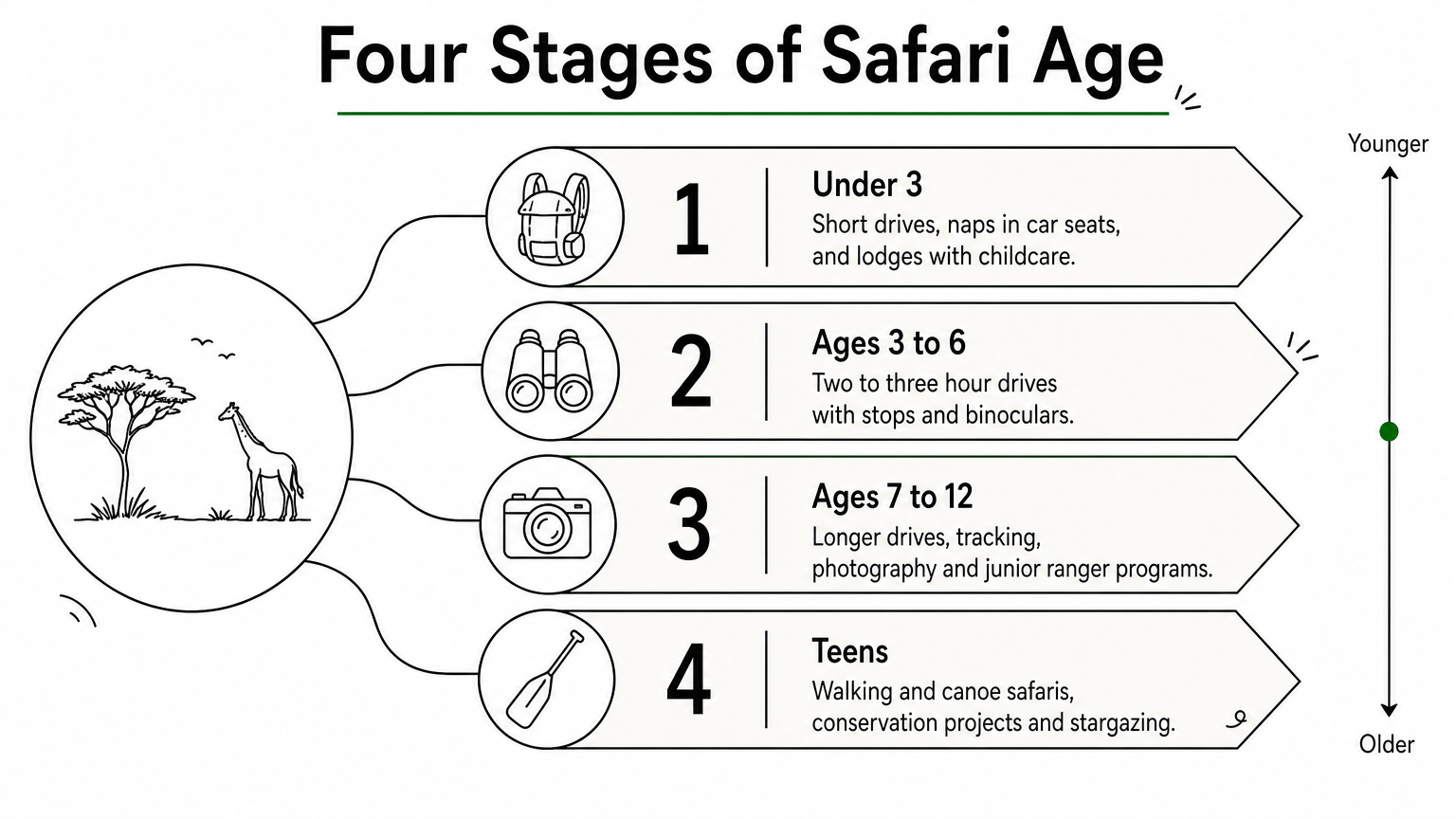 A four-step ladder showing safari activities suited to children at each age stage, from under 3 to teens.