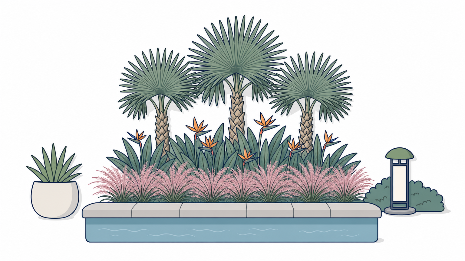 Tall palms, mid-level bird of paradise, and low muhly grass arranged in three layers beside a pool.