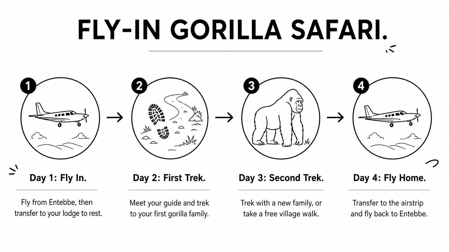 Process diagram of four days: flying into Bwindi, a first gorilla trek, a second trek, and flying home.