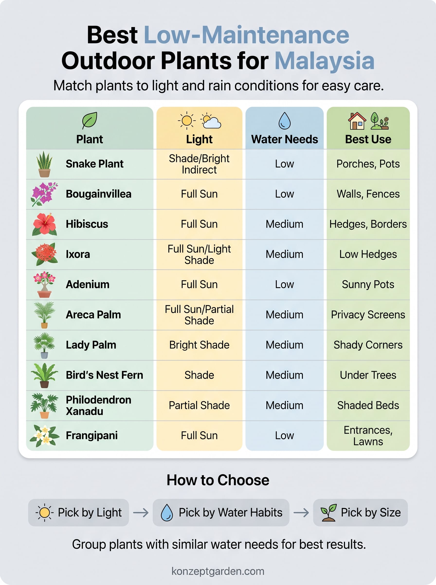 low maintenance outdoor plants malaysia infographic