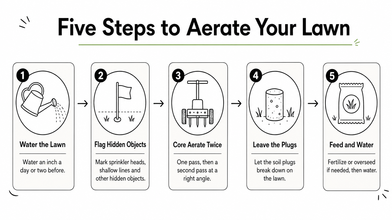 Five numbered steps for aerating a lawn yourself, from watering to feeding.