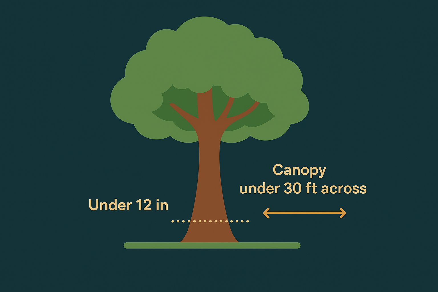 Cost by trunk diameter and canopy