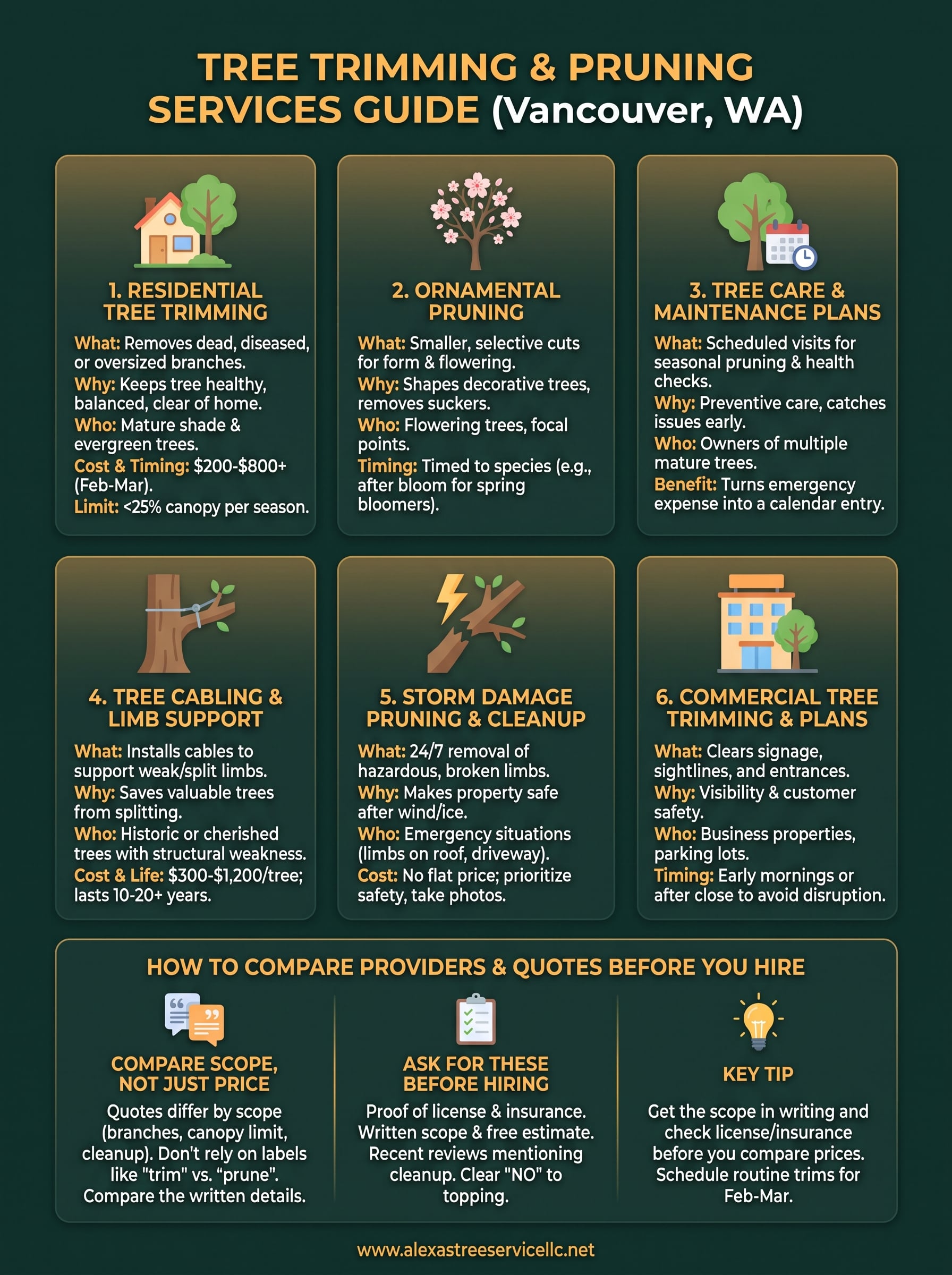 tree trimming and pruning services infographic