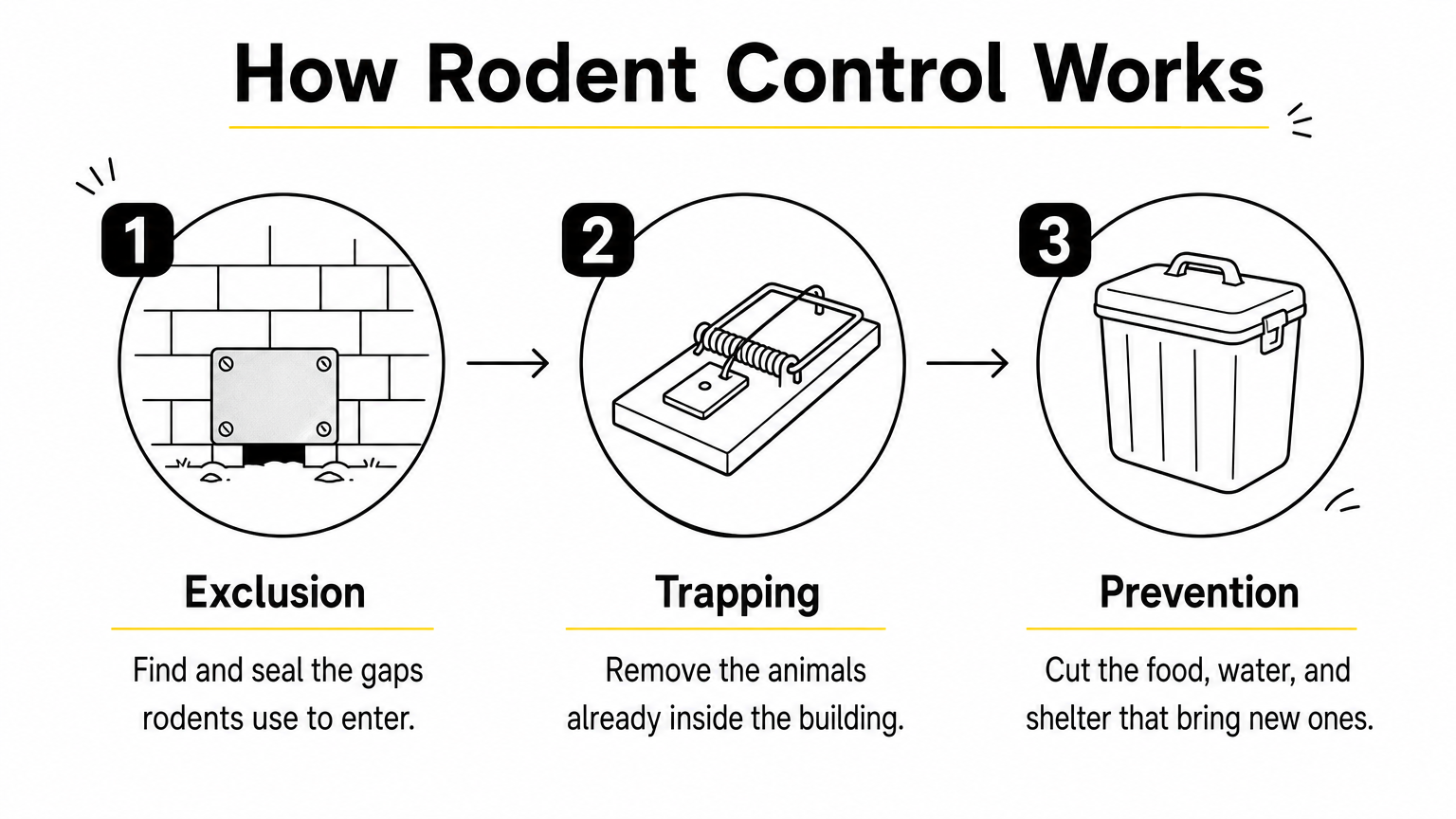 A three-step process diagram showing exclusion, trapping, and prevention for rodent control, with an icon for each step.