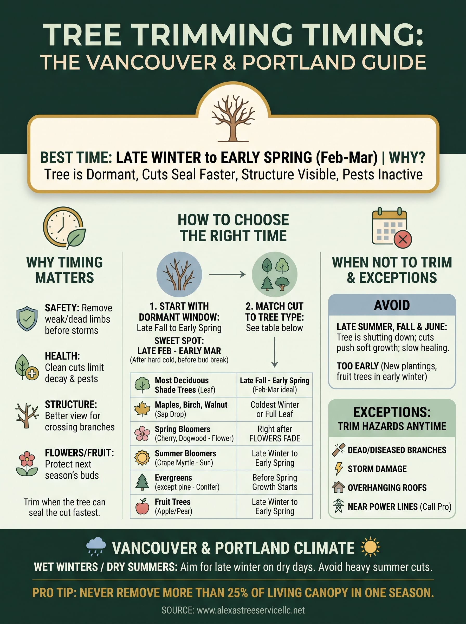 tree trimming when infographic