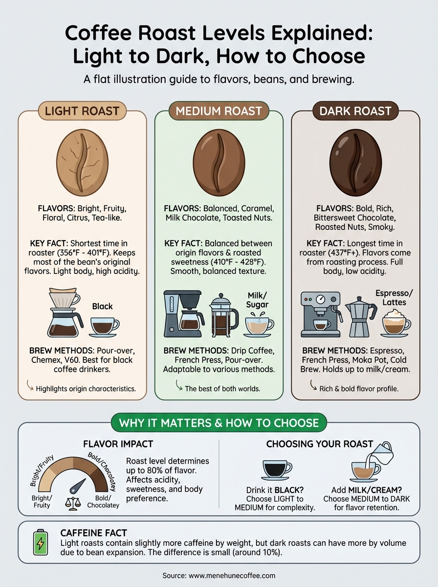 coffee roast levels explained infographic