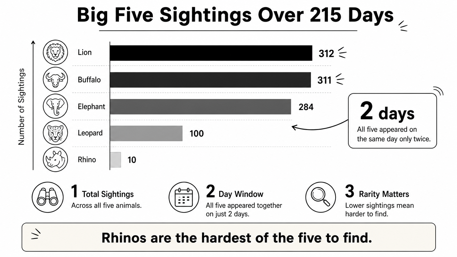 Bar chart of sightings logged at one camp, with lions highest and rhinos lowest.