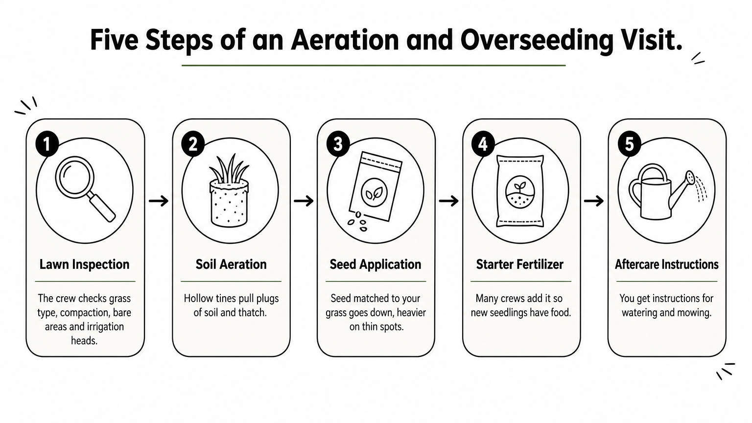 Five-step process showing inspection, aeration, seeding, starter fertilizer and aftercare for a lawn visit.